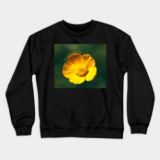 Appreciate everything Crewneck Sweatshirt